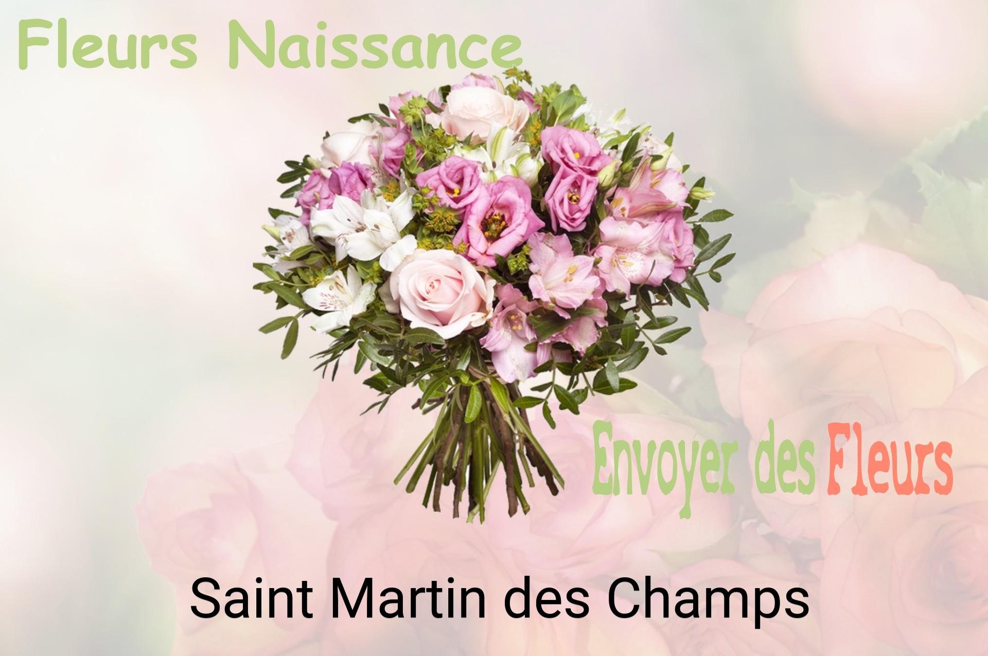 Bouquet de fleurs de naissance livré à Saint-Martin-des-Champs